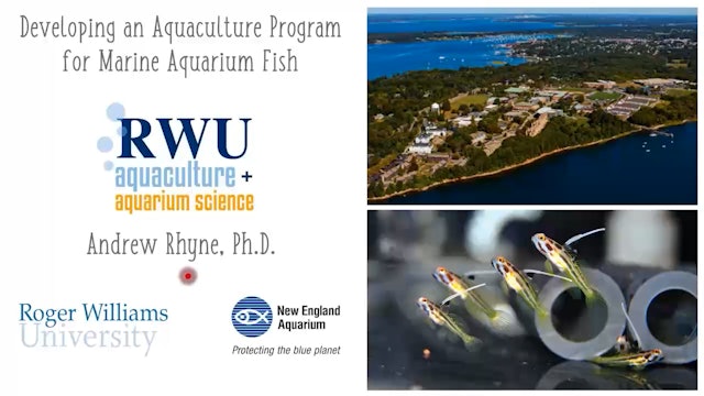 Fish Breeding and Larval Rearing (E-Aquarium Conference 2020)