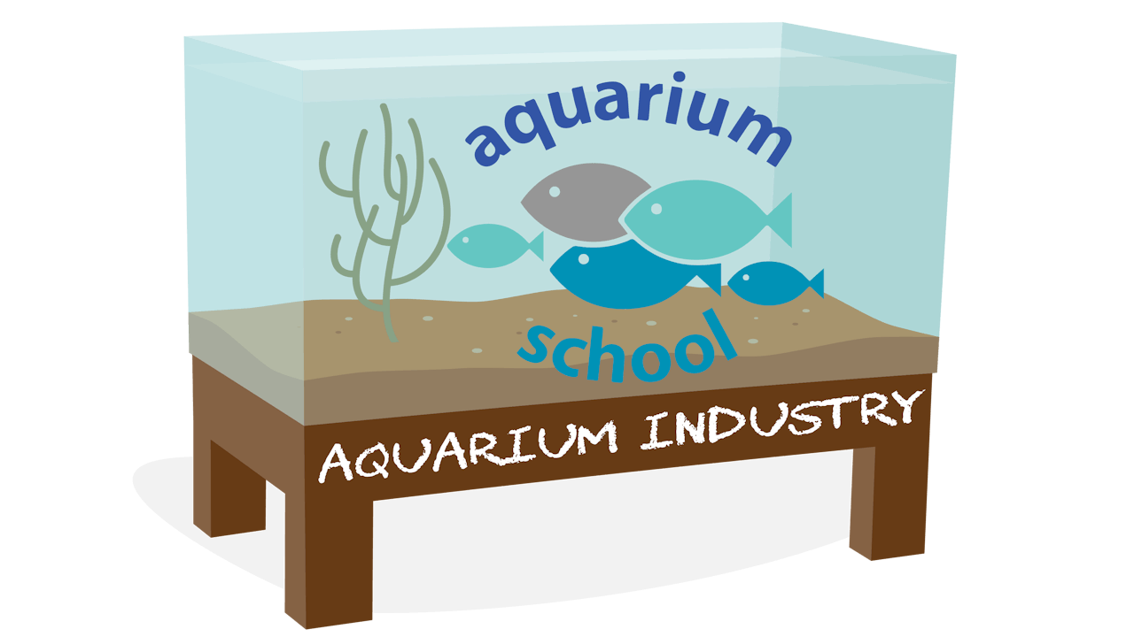 Aquarium Industry
