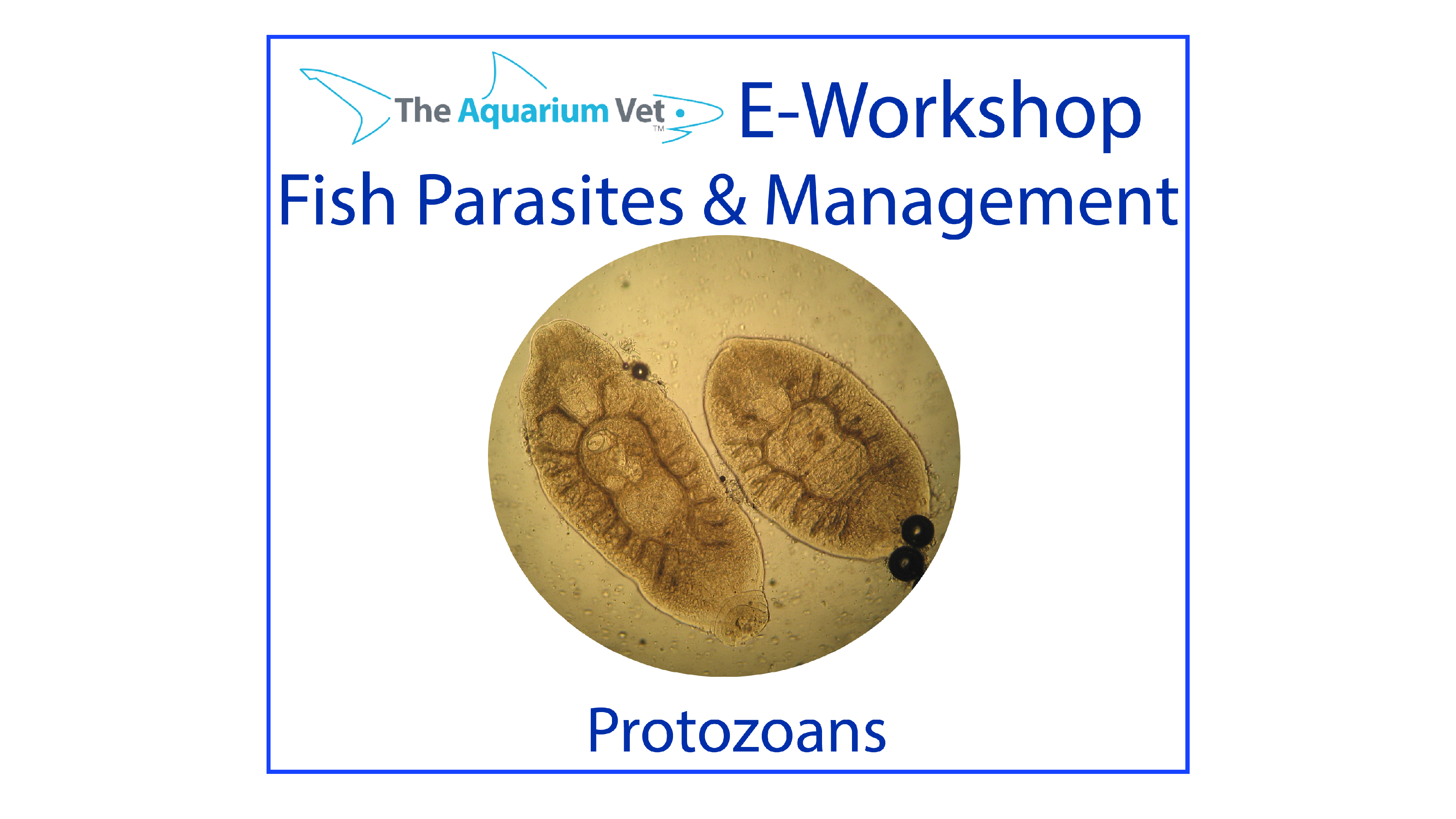 Protozoans (E-Workshop: Fish Parasites & Management 2020)