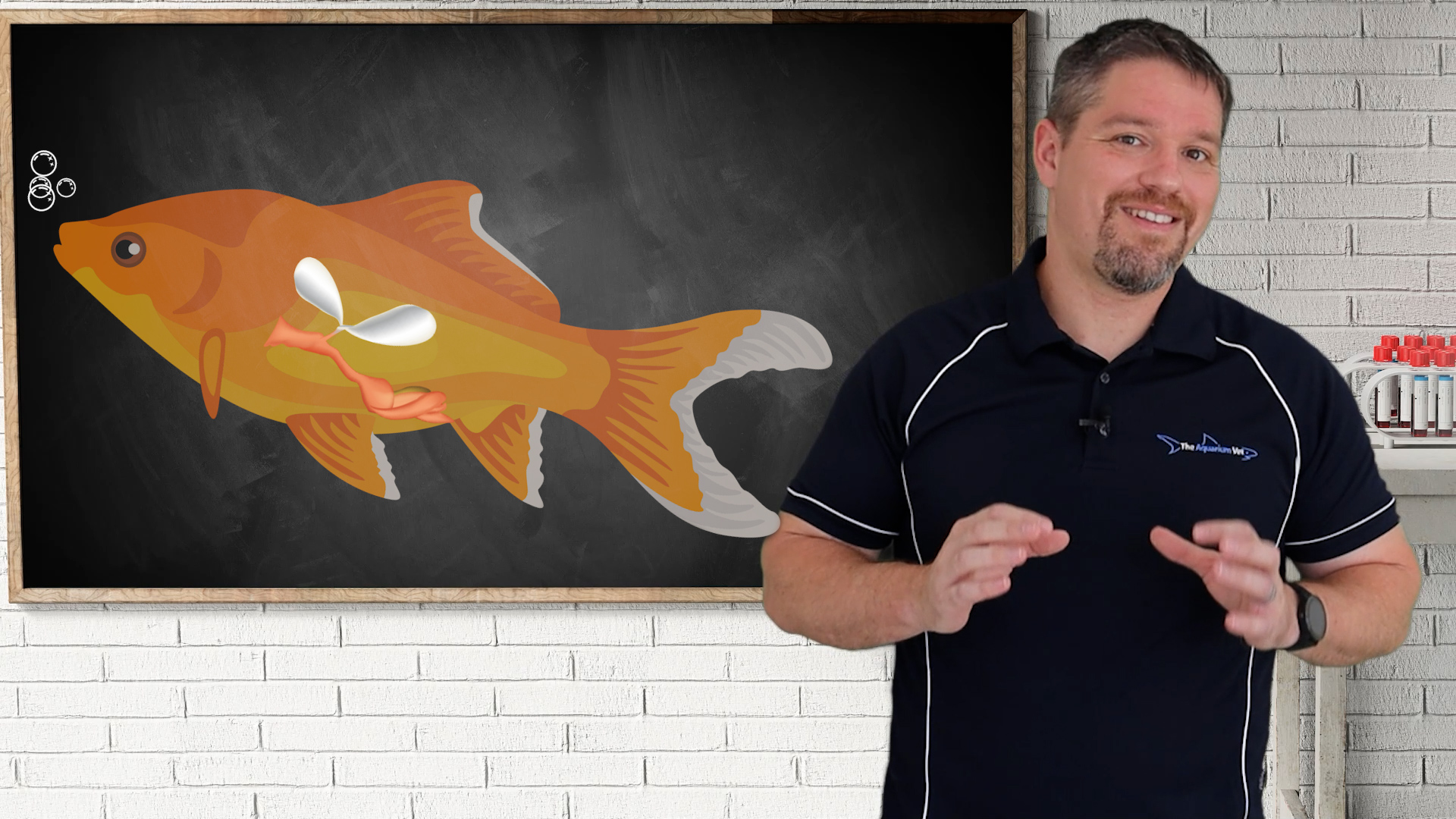 Goldfish Buoyancy Disorders