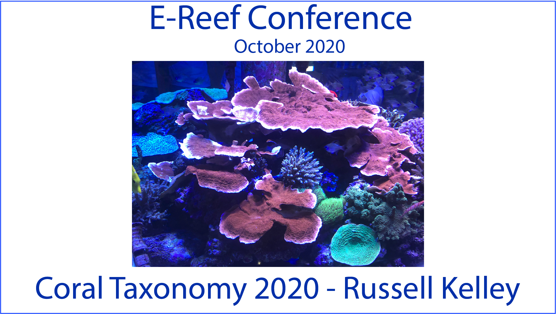 Coral Taxonomy (E-Reef Conference 2020)