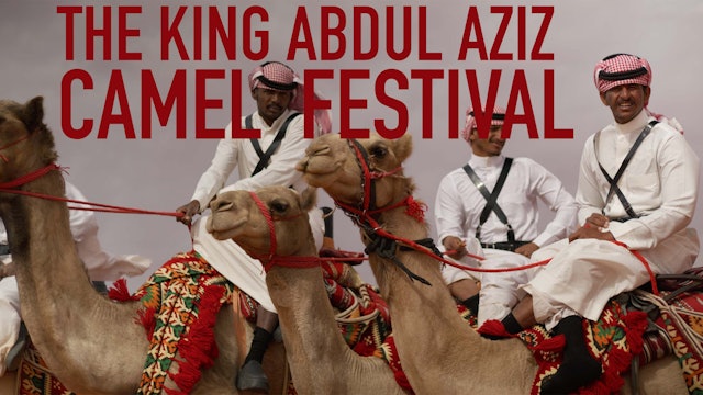 King Abdul Aziz Camel Festival