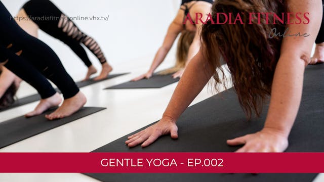 Gentle Yoga with Erin Donovan