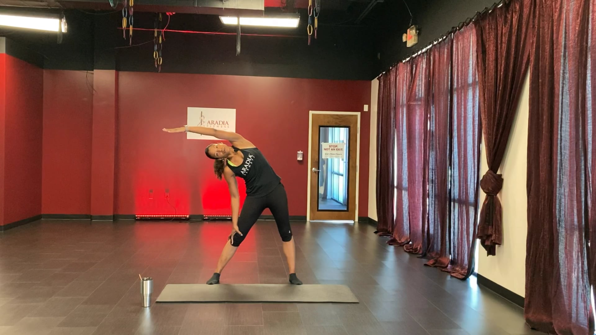 Conditioning for Aerialists with Janine Cooper