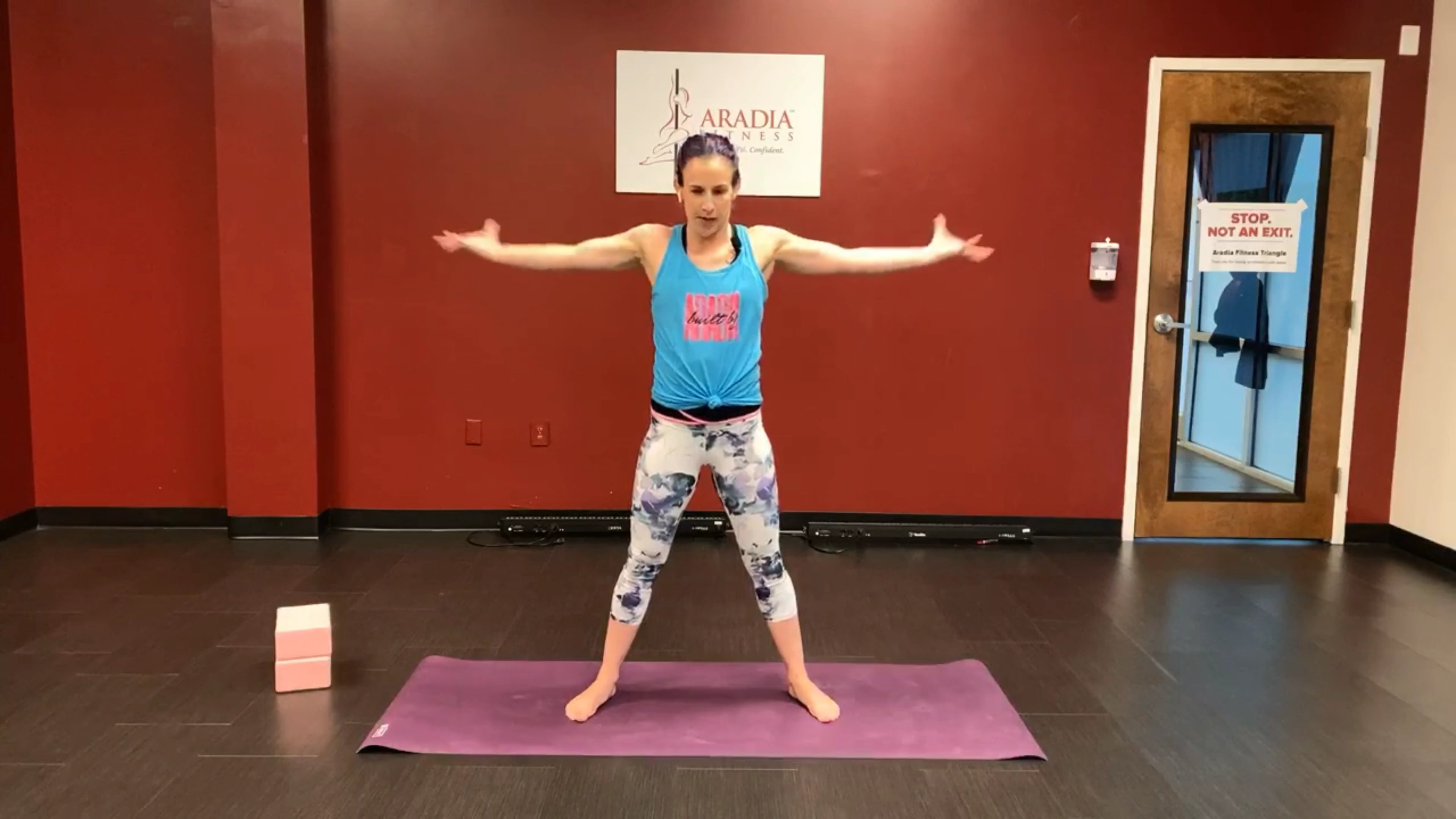 Conditioning for Aerialists with Dakota Fox (livestream recording)