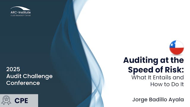 Auditing at the Speed of Risk: What It Entails and How to Do It