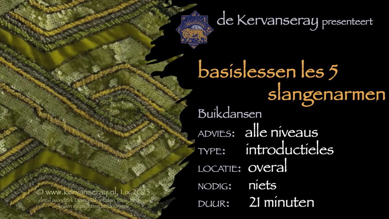 les buikdans basis: 5 slangenarmen