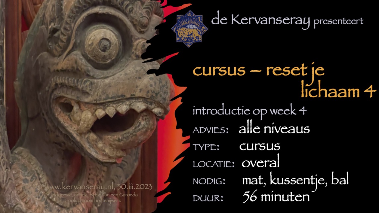 cursus reset je lichaam: week 4