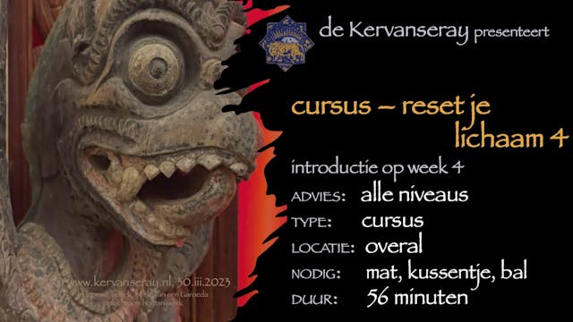 cursus reset je lichaam: week 4