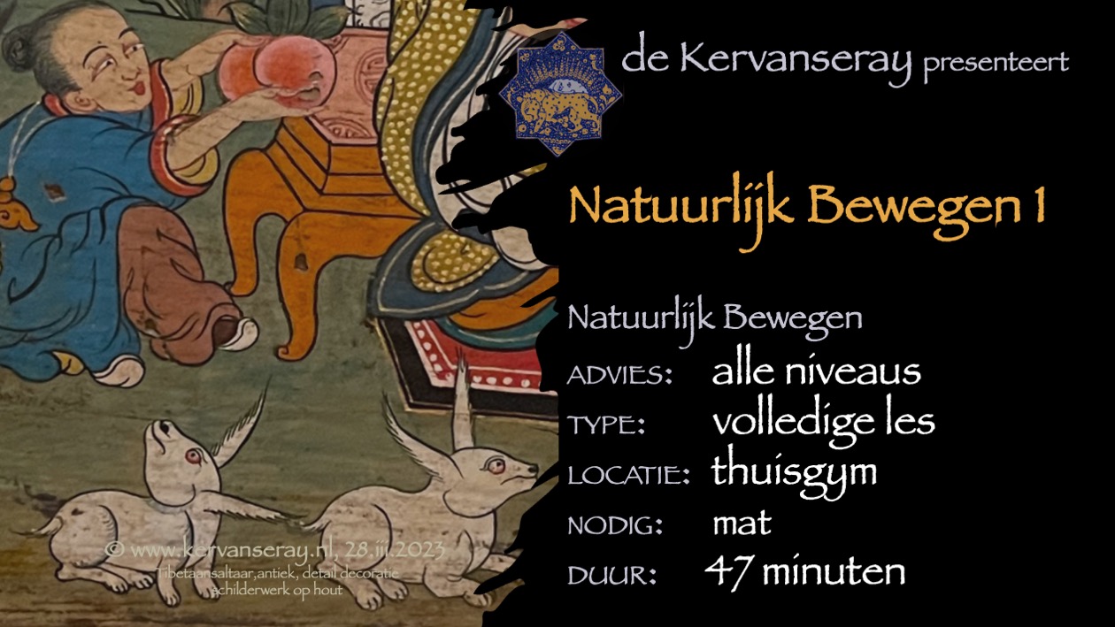 les natuurlijk bewegen: 1 introductie in de natuurlijke manieren van bewegen
