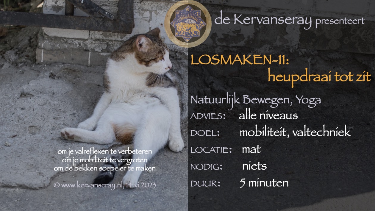 oefening reset losmaken op de mat: 11 heupdraai tot zit