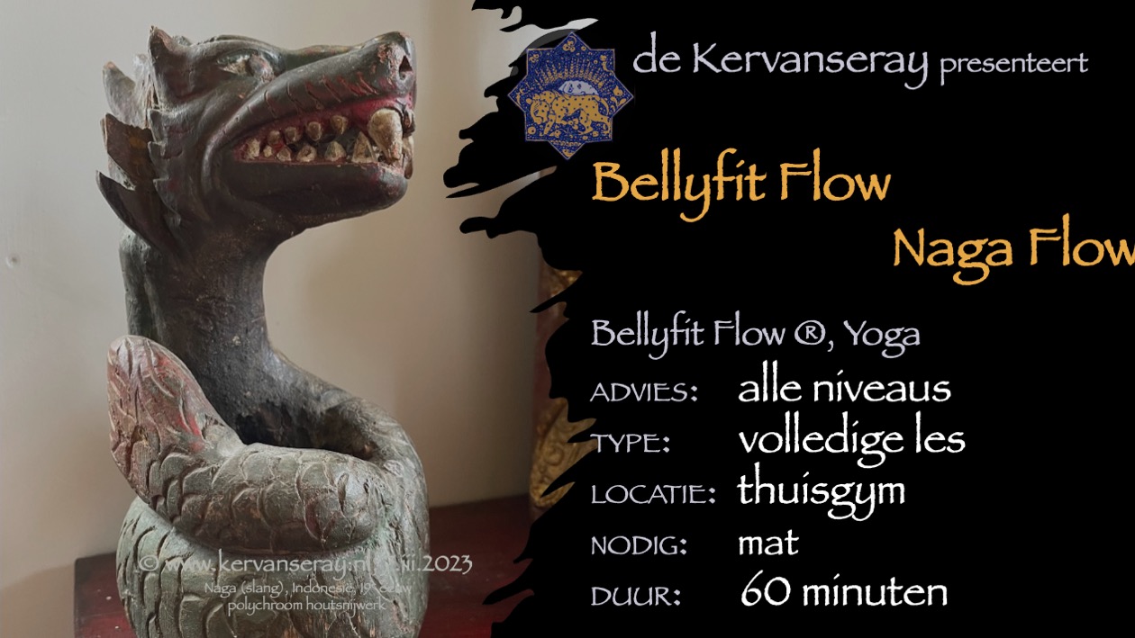les bellyfit flow: 1 thema work-out 'naga flow'
