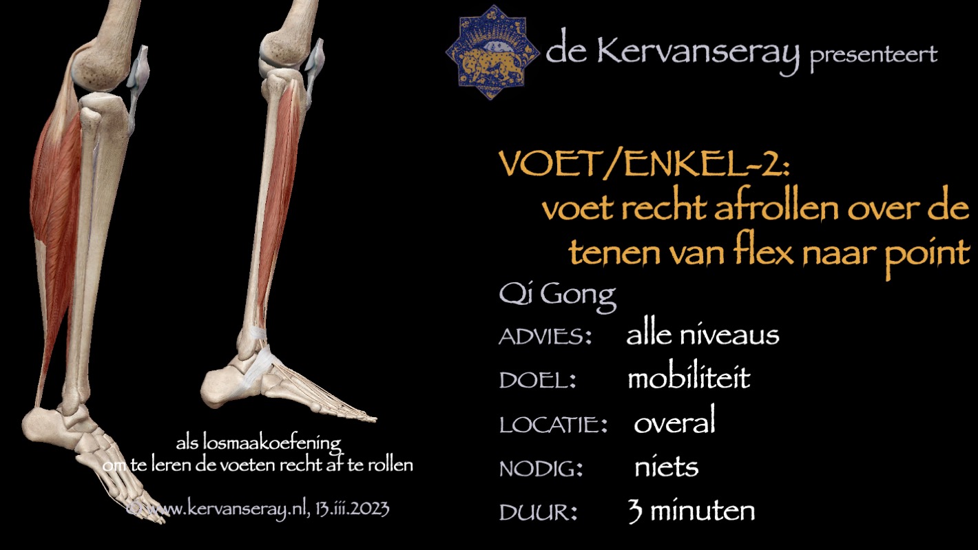 oefening reset losmaken voet & enkel: 2 voet recht afrollen over de tenen