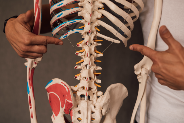 bewegen uit begrip: leer je lichaam kennen & zelfhulp bij klachten
