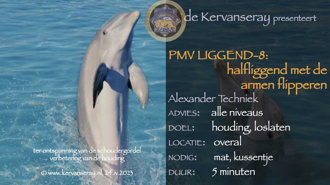 oefening reset PMV liggend: 8 halfliggend met de armen flipperen