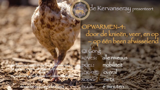 oefening reset opwarmen: 4 door de kn...