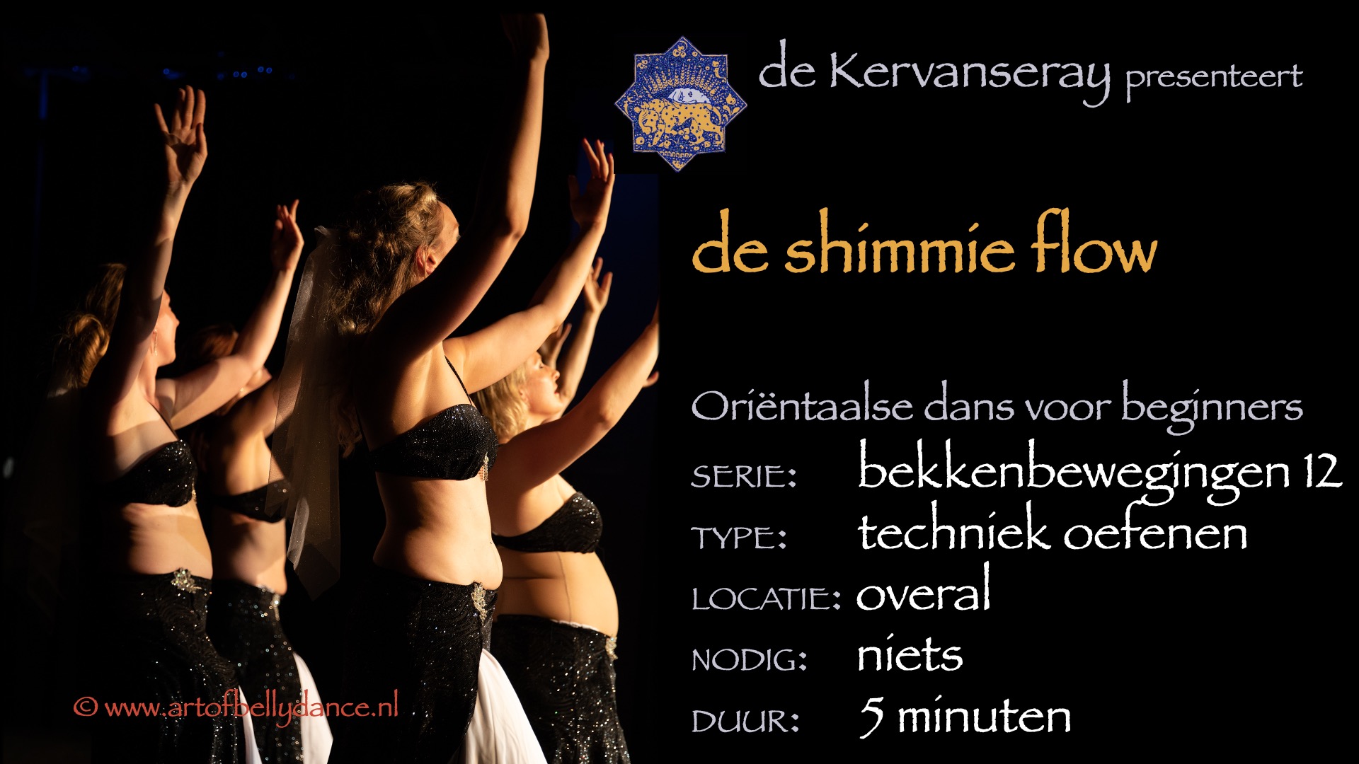 instructie buikdans basistechniek 1: 12 de shimmy flow