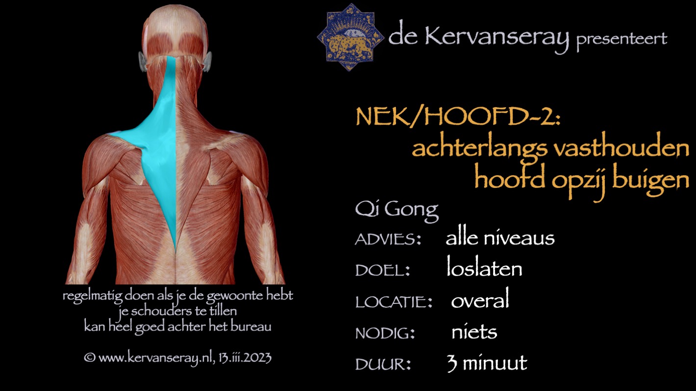 oefening reset losmaken nek & hoofd: 2 achterlangs vasthouden hoofd opzij buigen