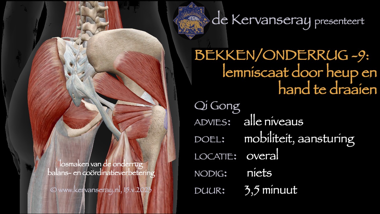 oefening reset losmaken bekken & onderrug: 9 lemniscaat met arm en heup