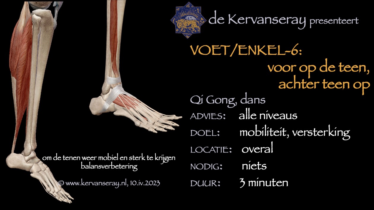 oefening reset losmaken voet & enkel; 6 voor op de teen, achter op de hak