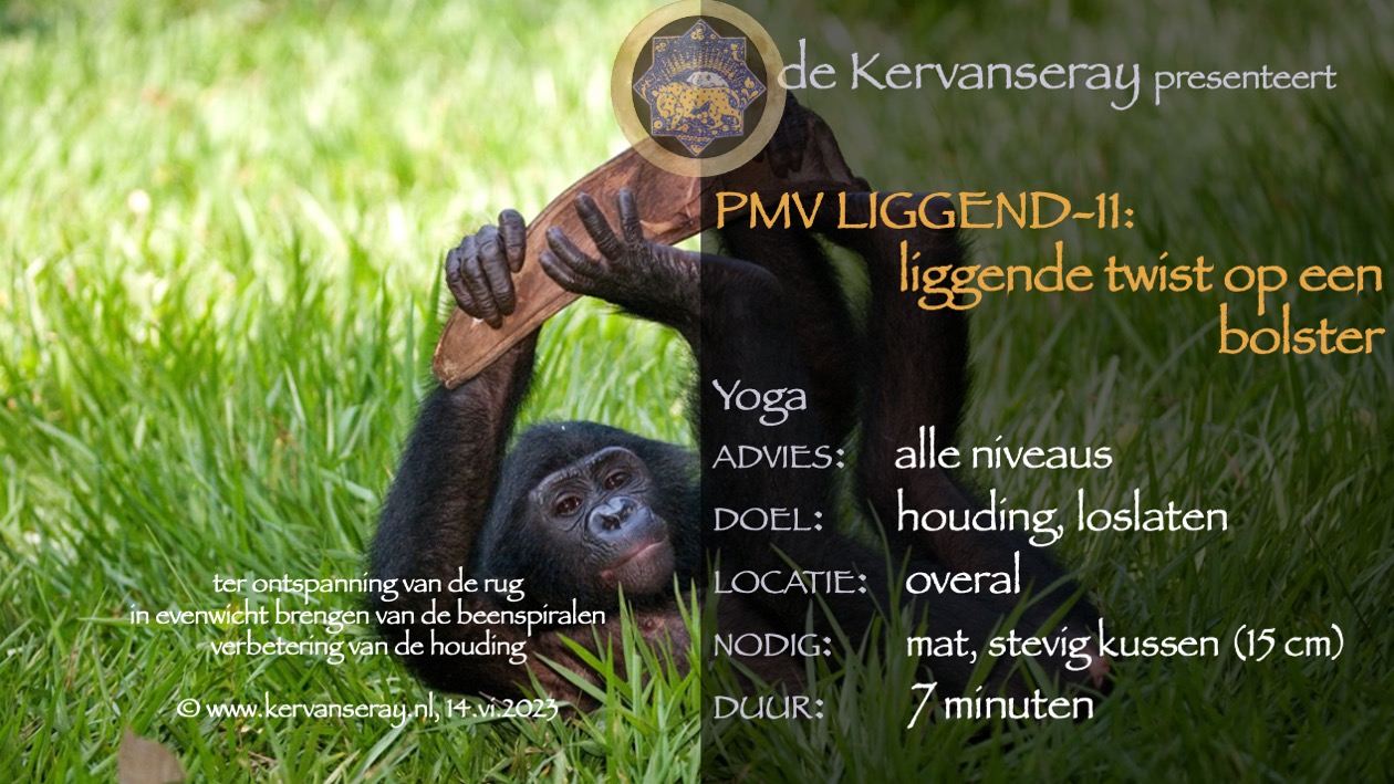 oefening reset PMV liggend: 11 liggende twist op een bolster