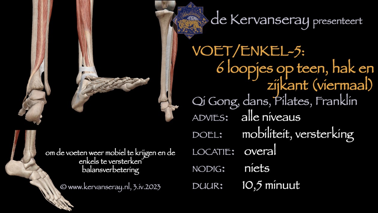 oefening reset losmaken voet & enkel: 5 zes loopjes op teen, hak en zijkant voet