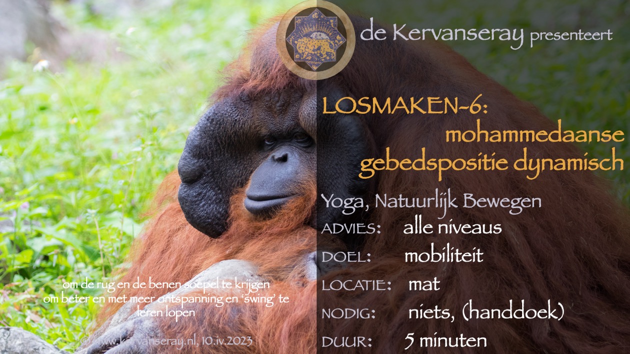 oefening reset losmaken op de mat: 6 mohammedaanse gebedspositie dynamisch