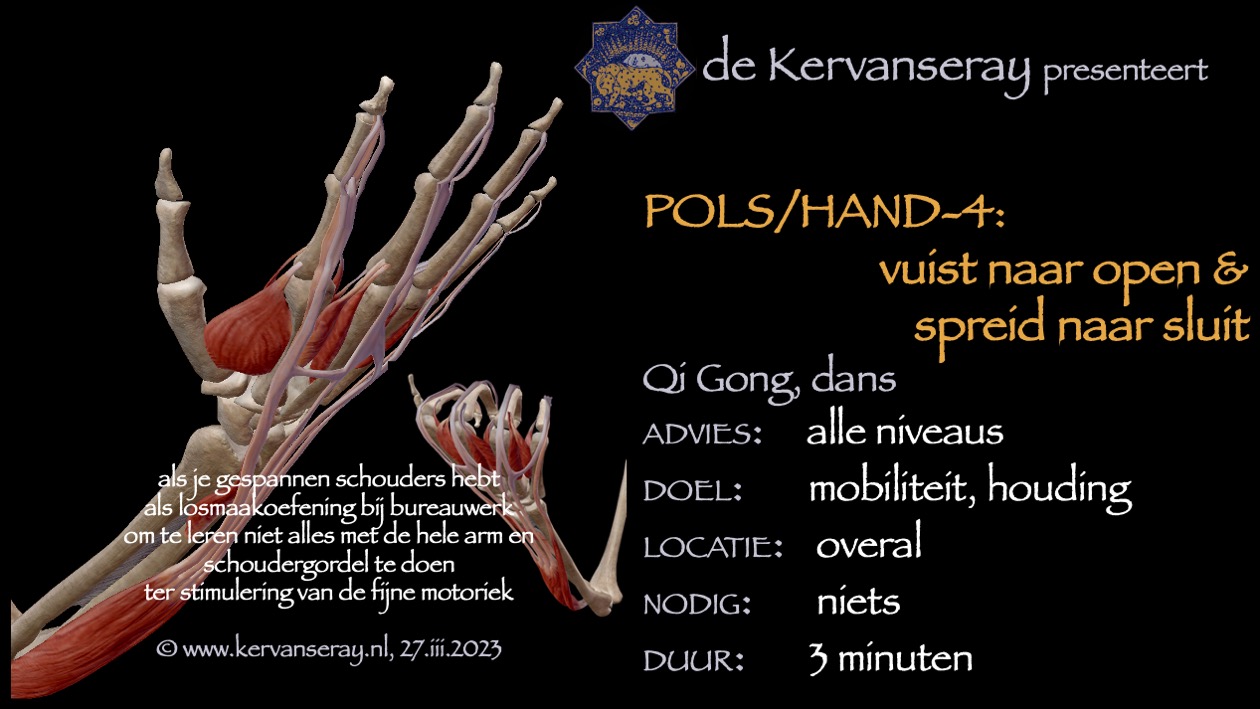 oefening reset losmaken pols & hand: 4 vuist naar open en spreid naar sluit