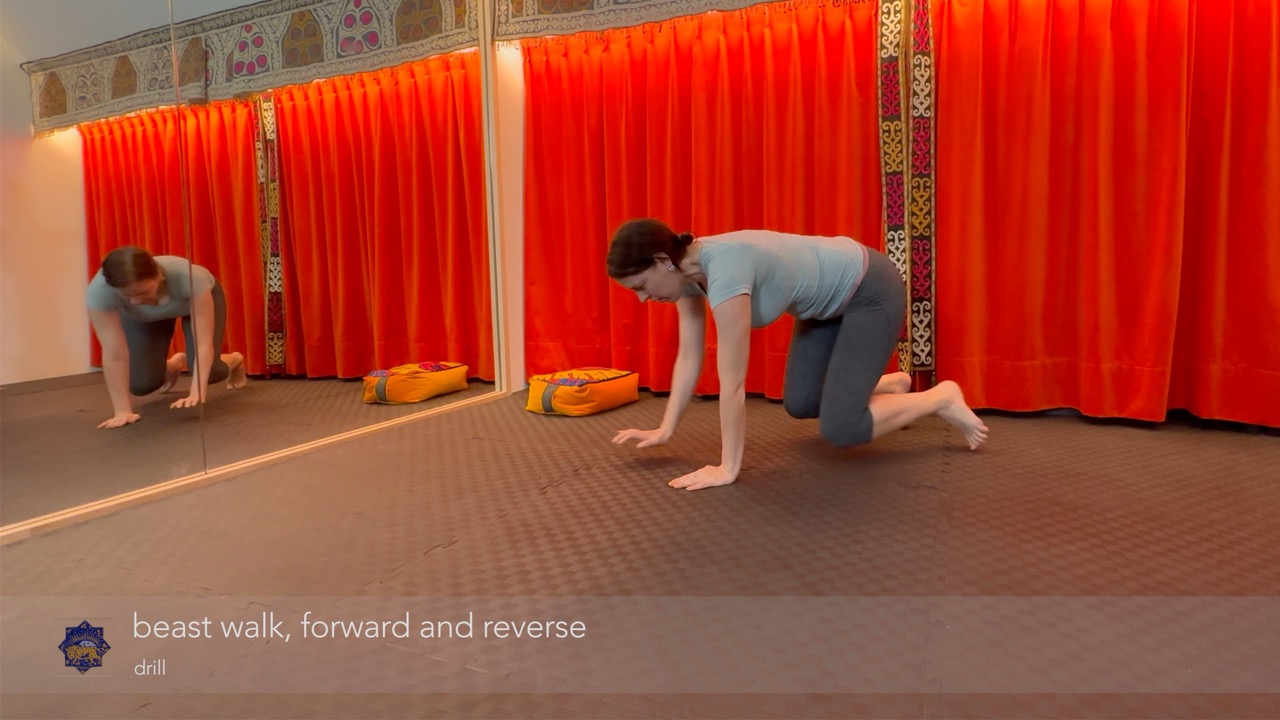 instructie & oefening: kruipen op de tenen, knieën los met de handen afrollend