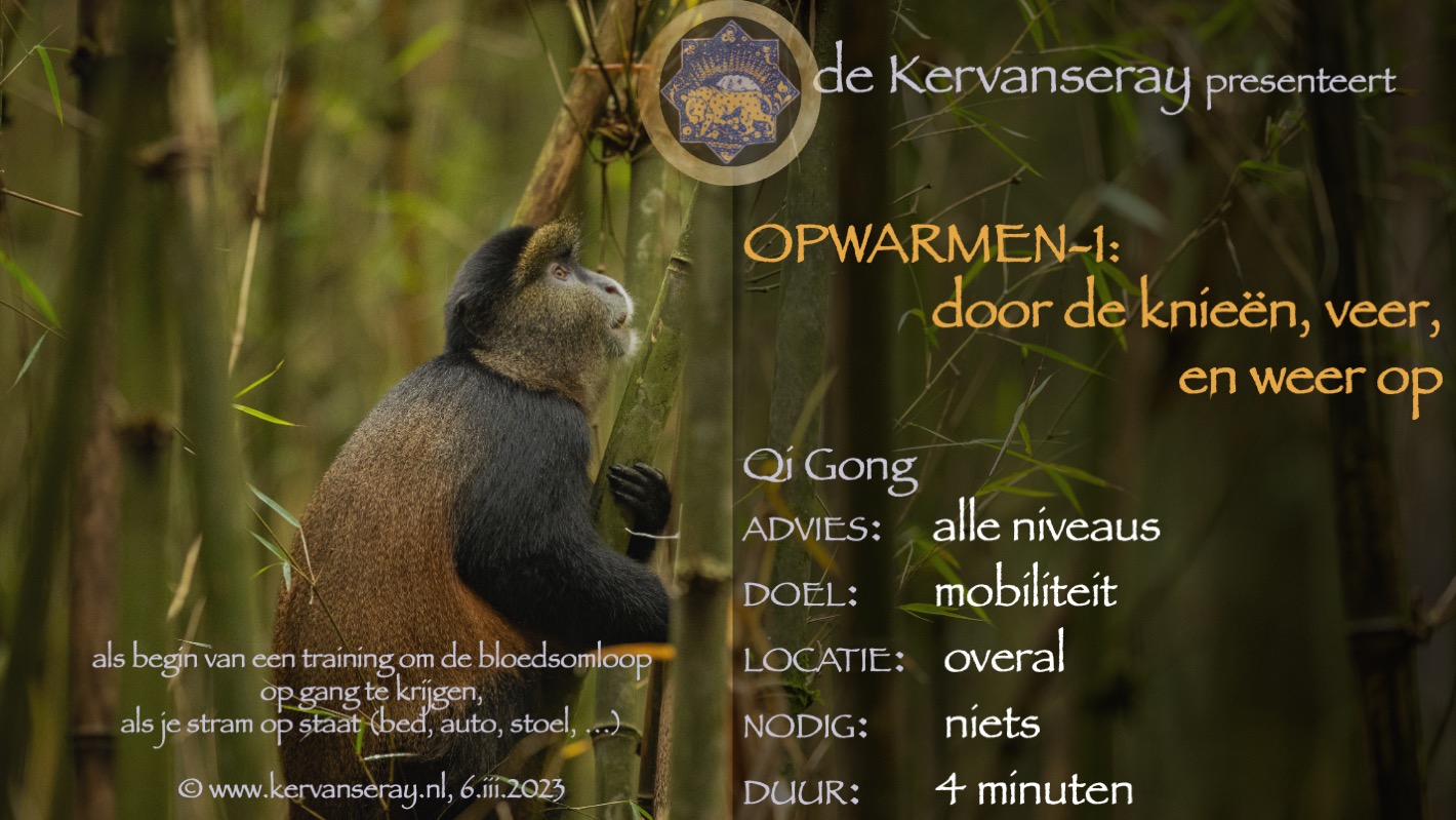 oefening reset opwarmen: 1 door de knieën veer en weer op