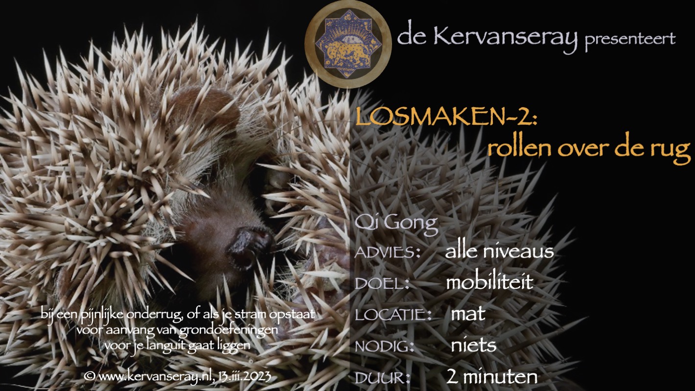 oefening reset losmaken op de mat: 2 rollen over de rug