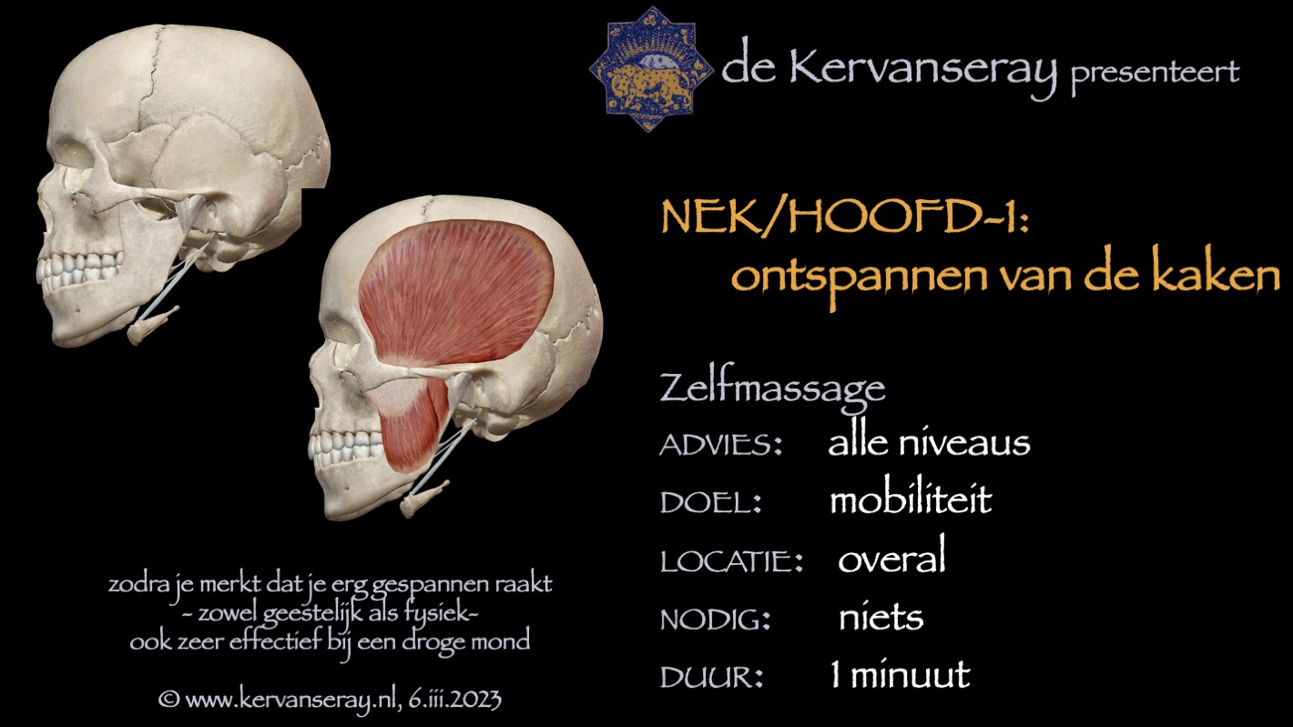 oefening reset losmaken nek & hoofd: 1 ontspannen van de kaken