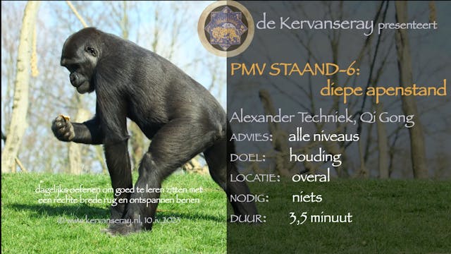 oefening reset PMV staand: week 6 die...