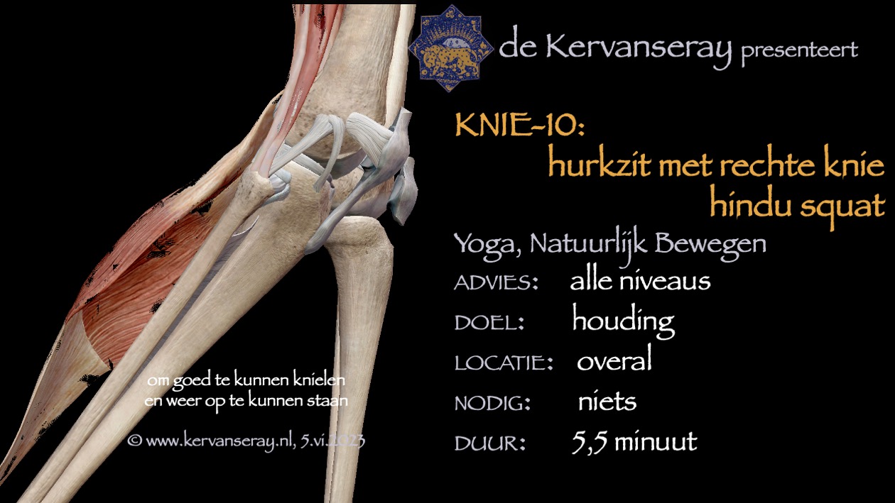 oefening reset losmaken knie: 10 hurkzit met rechte knie (hindu squat)