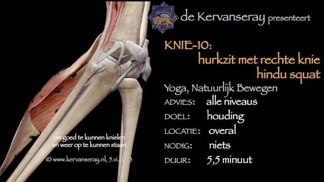 oefening reset losmaken knie: 10 hurk...