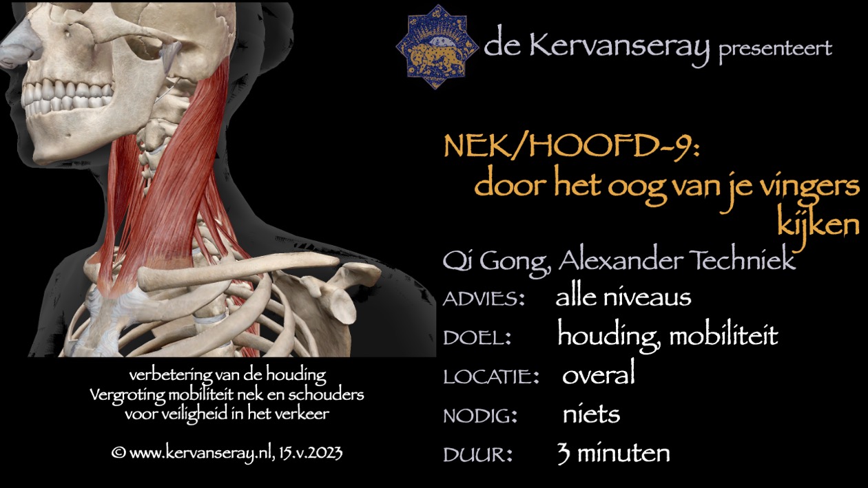 oefening reset losmaken nek & hoofd: 9 door het oog van je vingers kijken