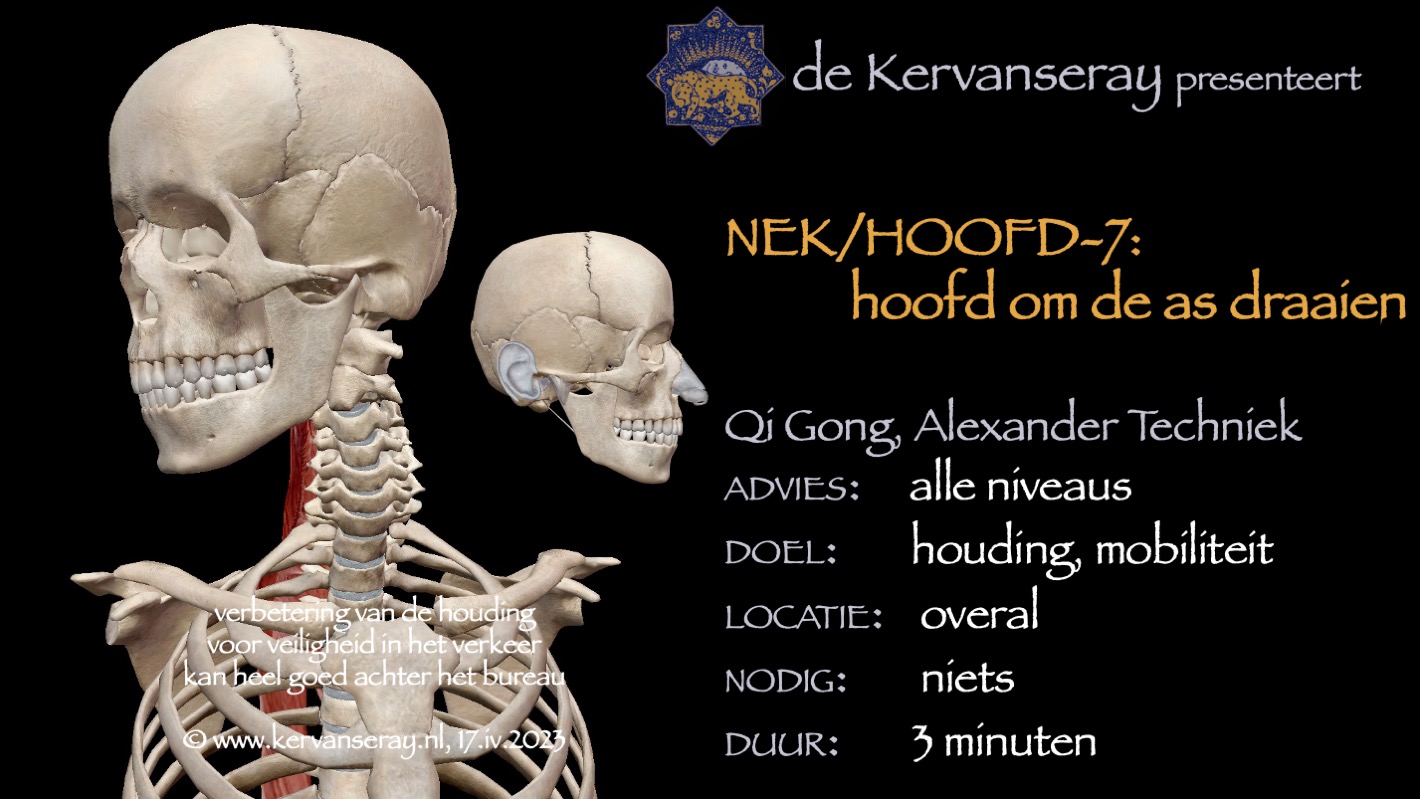 oefening reset losmaken nek & hoofd: 7 hoofd om de as draaien