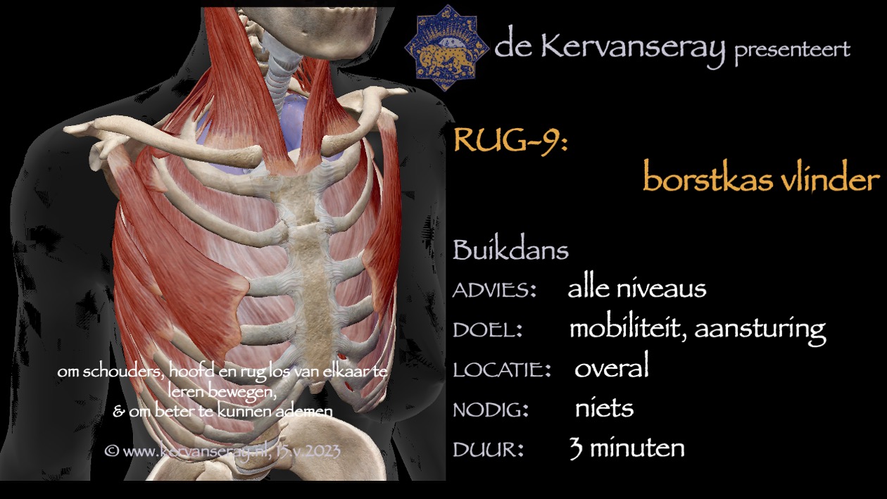 oefening reset losmaken rug: 9 borstkas vlinder