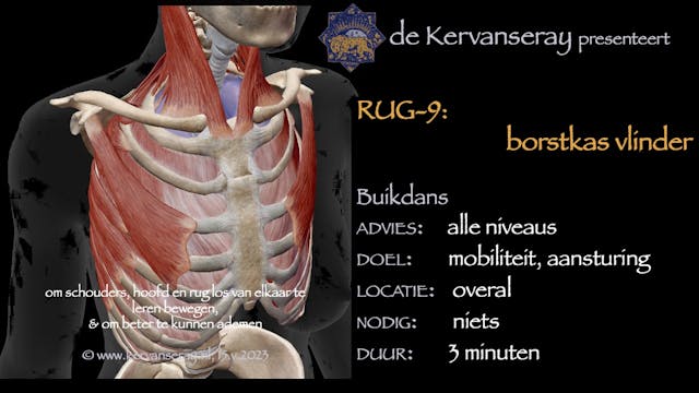 oefening reset losmaken rug: 9 borstk...