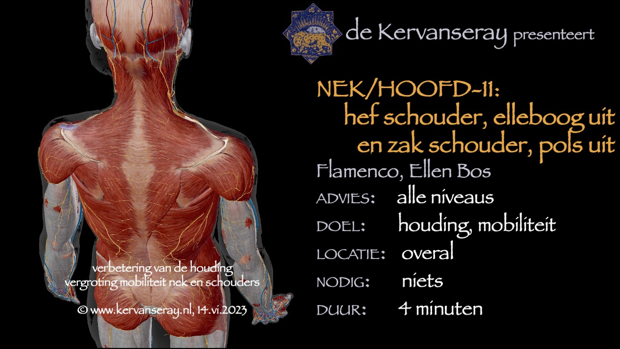 oefening reset losmaken nek & hoofd: 11 hef schouder, elleboog uit zak schouder