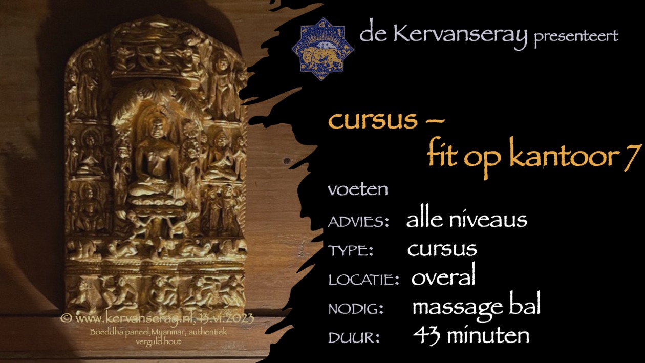 cursus fit op kantoor: 7 voeten