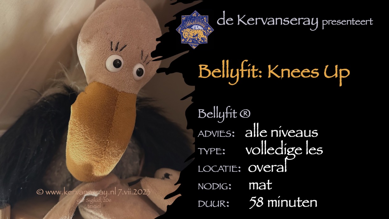 les bellyfit: 8 thema work-out 'knees up' 