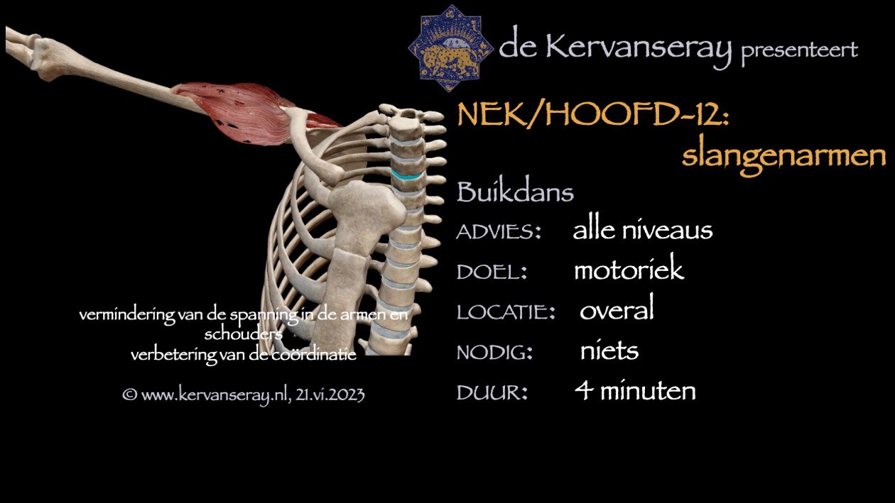 oefening reset losmaken nek & hoofd: 12 slangenarmen
