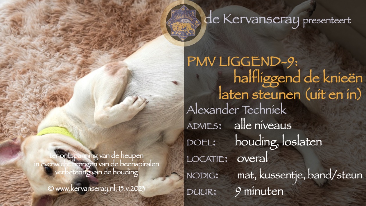 oefening reset PMV liggend: 9 halfliggend de knieën laten steunen (uit en in)