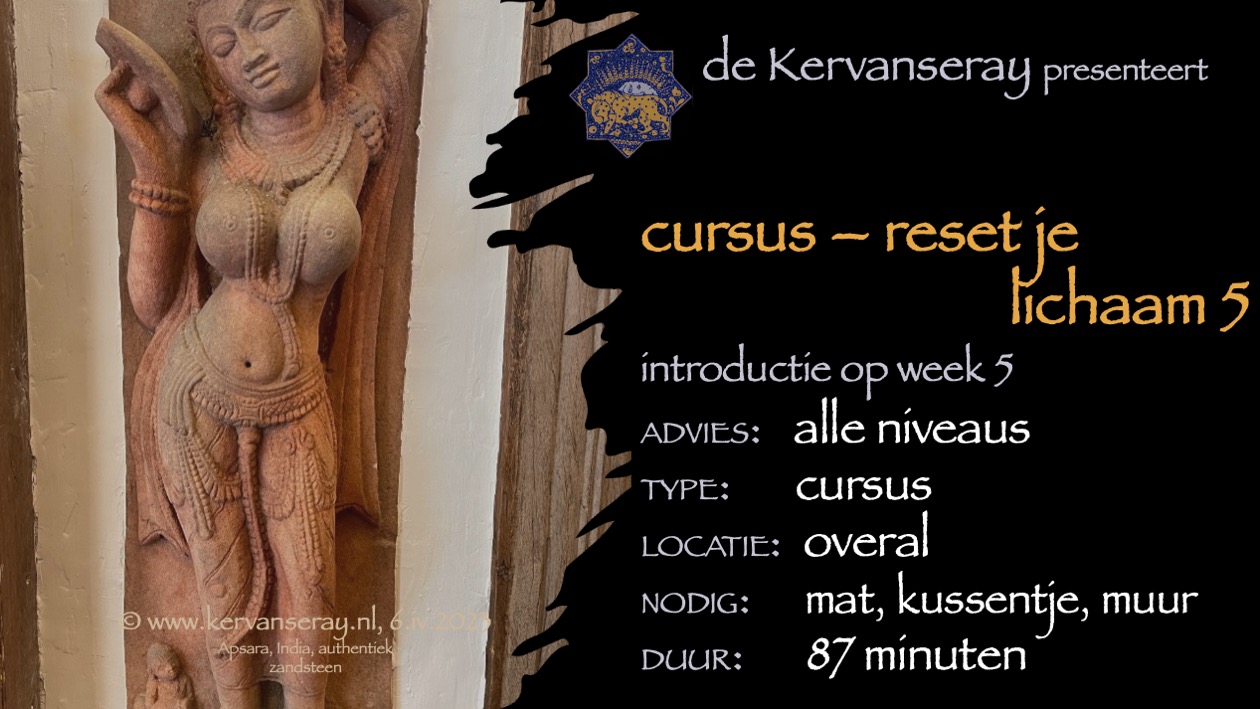 cursus reset je lichaam: week 5