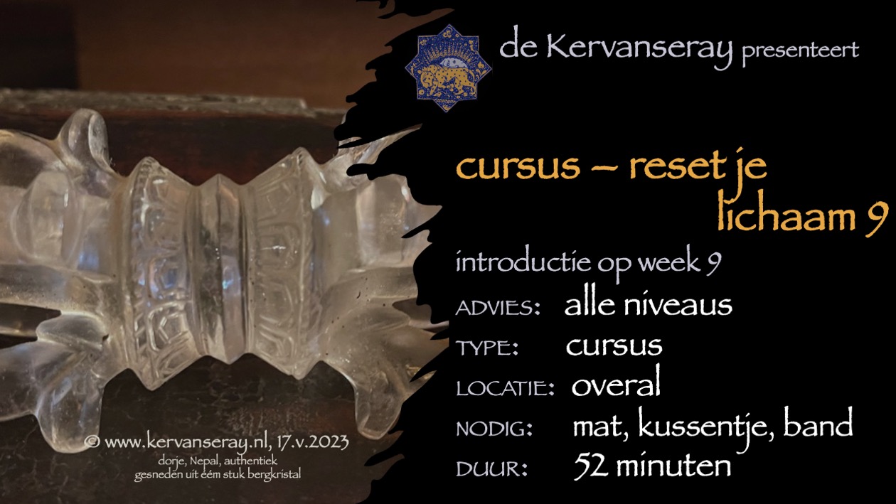 cursus reset je lichaam: week 9