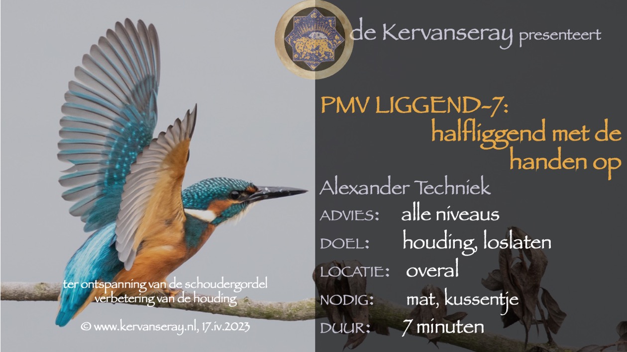 oefening reset PMV liggend: 7 halfliggend met de handen op