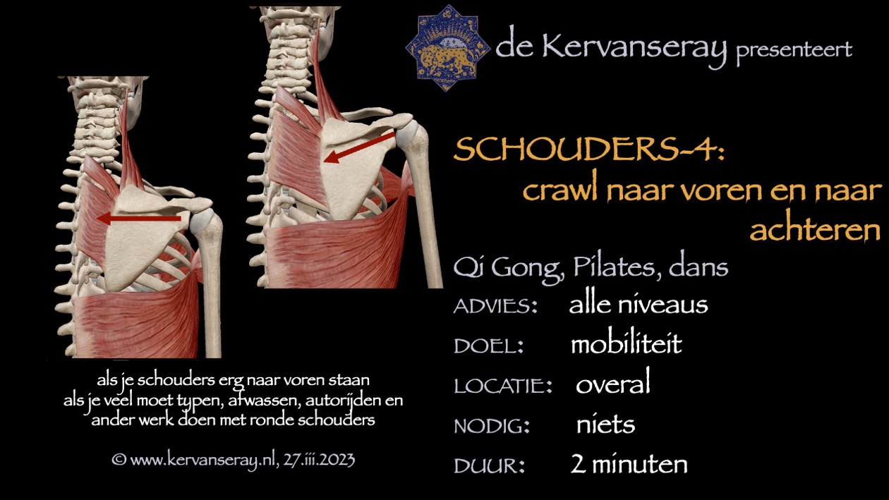 oefening reset losmaken schouders: 4 crawl beweging naar voren en naar achteren 