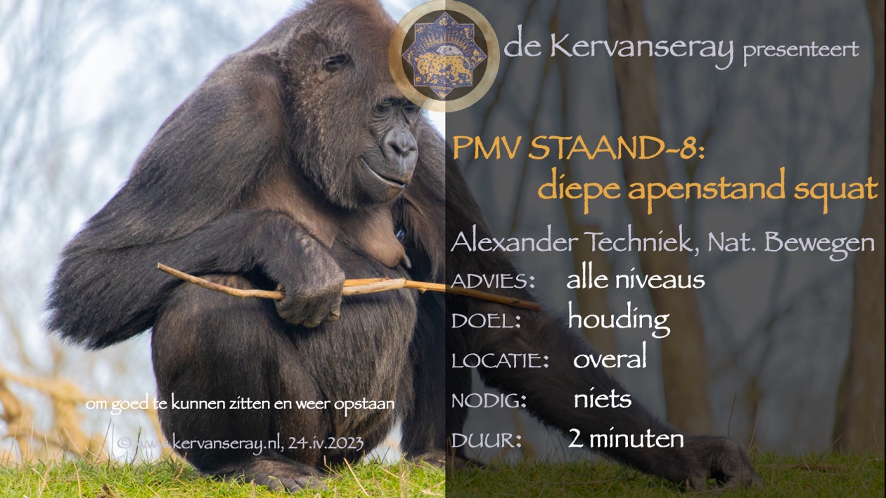 oefening reset PMV staand: week 8 diepe apenstand squat