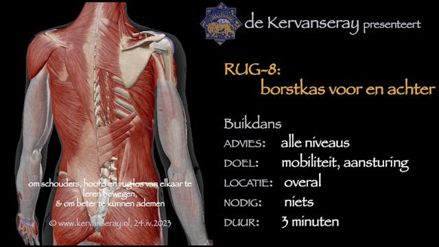 oefening reset losmaken rug: 8 borstk...